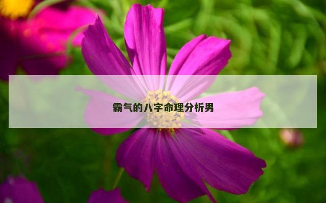 霸气的八字命理分析男
