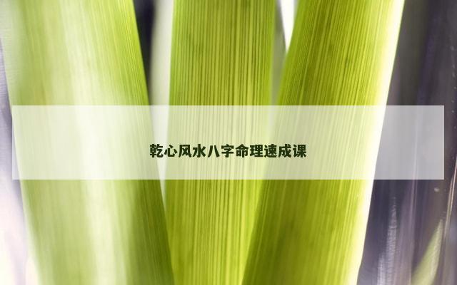 乾心风水八字命理速成课