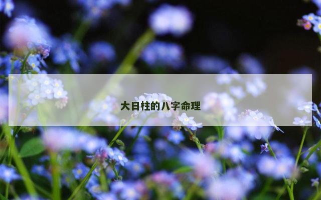 大日柱的八字命理