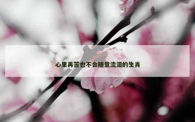 心里再苦也不会随意流泪的生肖