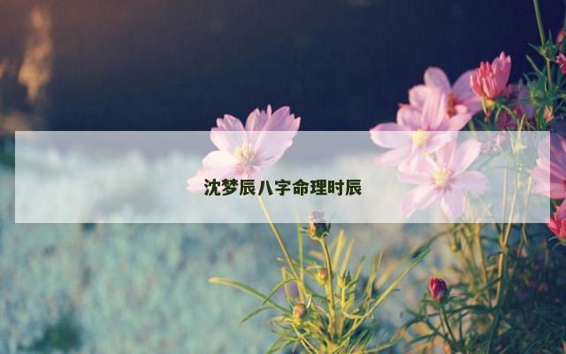 沈梦辰八字命理时辰