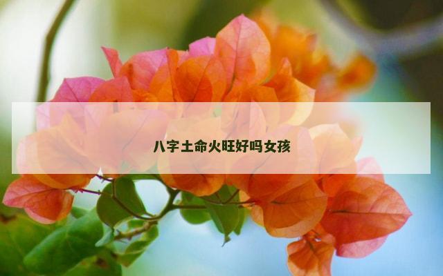 八字土命火旺好吗女孩