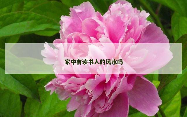 家中有读书人的风水吗