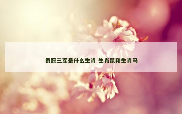 勇冠三军是什么生肖 生肖鼠和生肖马