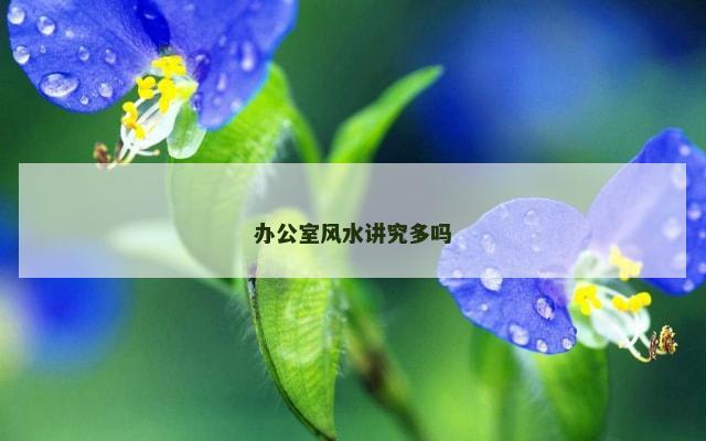 办公室风水讲究多吗