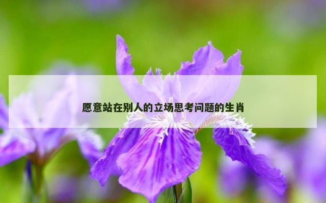 愿意站在别人的立场思考问题的生肖