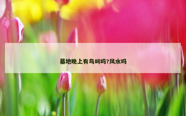 墓地晚上有鸟叫吗?风水吗