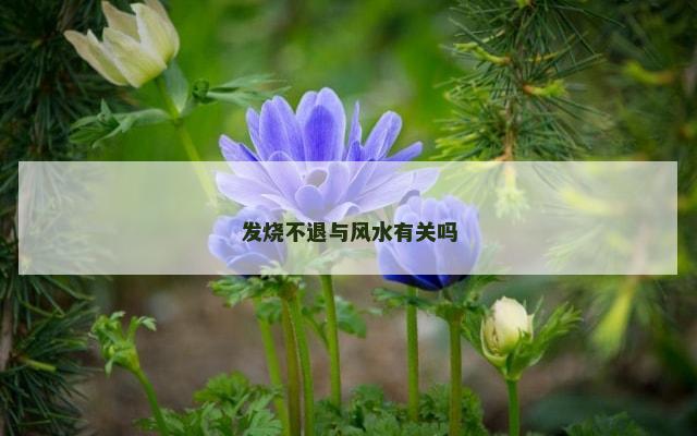发烧不退与风水有关吗