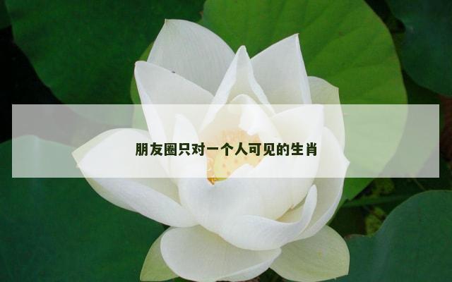 朋友圈只对一个人可见的生肖