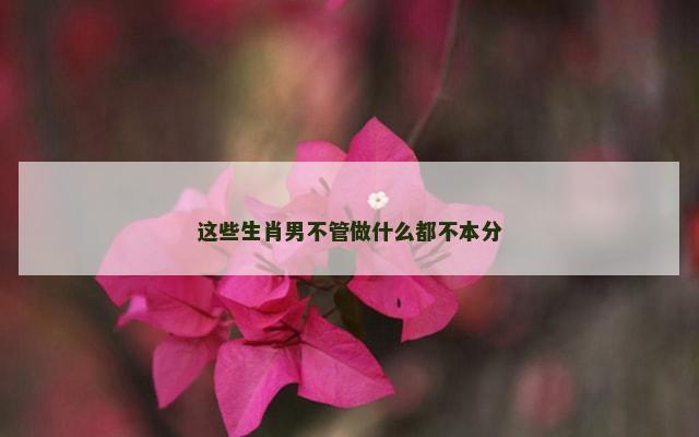 这些生肖男不管做什么都不本分