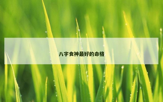 八字食神最好的命格