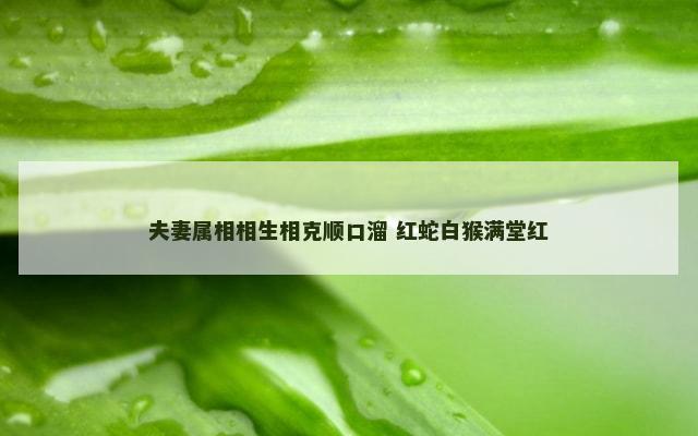 夫妻属相相生相克顺口溜 红蛇白猴满堂红