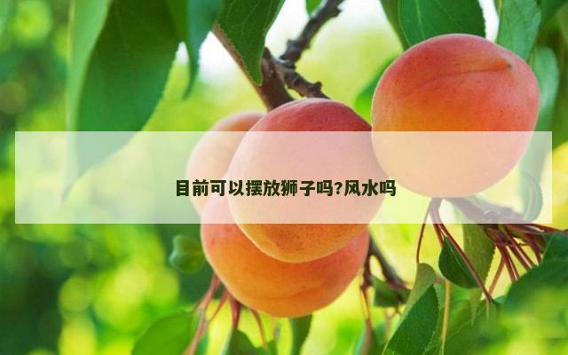 目前可以摆放狮子吗?风水吗