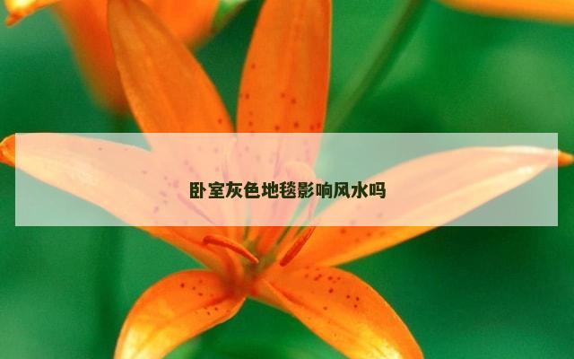 卧室灰色地毯影响风水吗