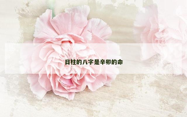 日柱的八字是辛卯的命