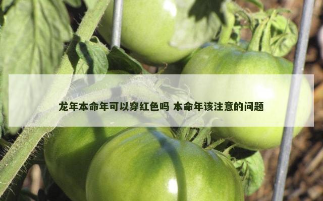 龙年本命年可以穿红色吗 本命年该注意的问题