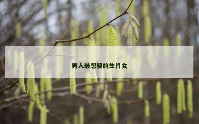 男人最想娶的生肖女