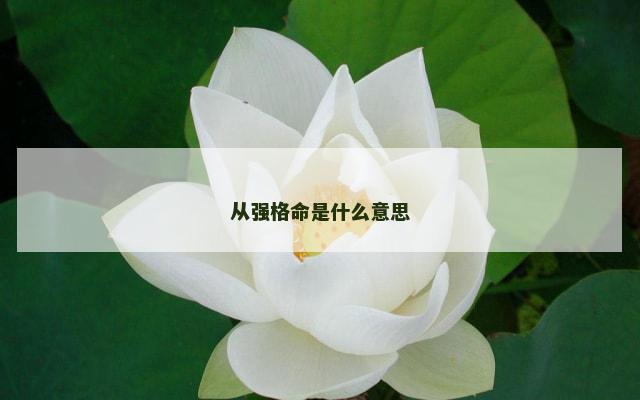 从强格命是什么意思