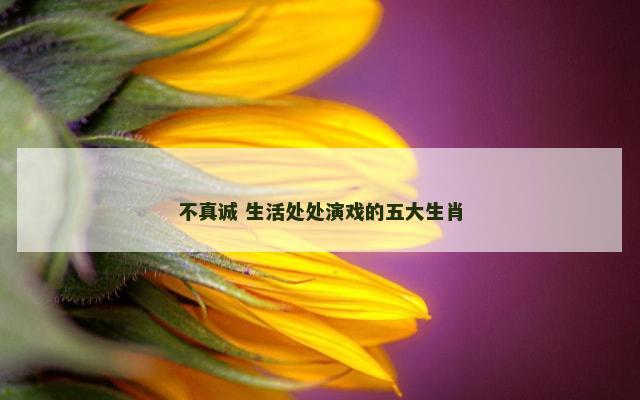 不真诚 生活处处演戏的五大生肖