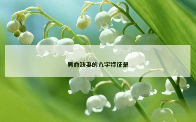男命缺妻的八字特征是