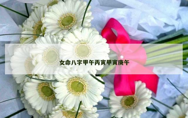 女命八字甲午丙寅甲寅庚午