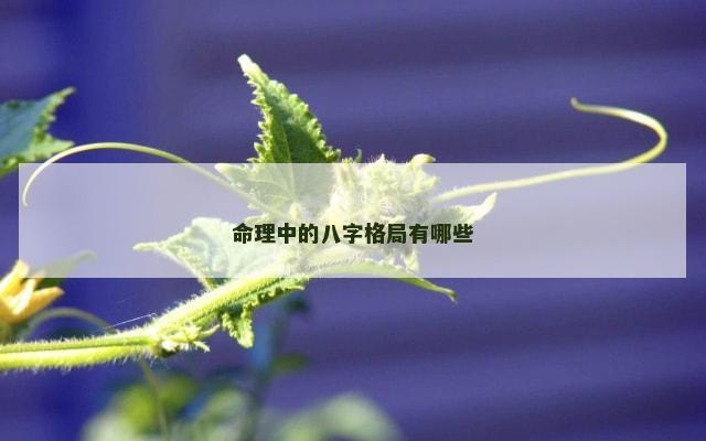 命理中的八字格局有哪些