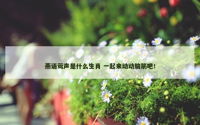 燕语莺声是什么生肖 一起来动动脑筋吧！