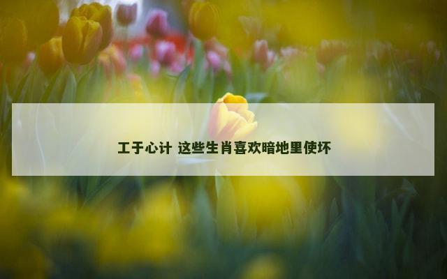 工于心计 这些生肖喜欢暗地里使坏
