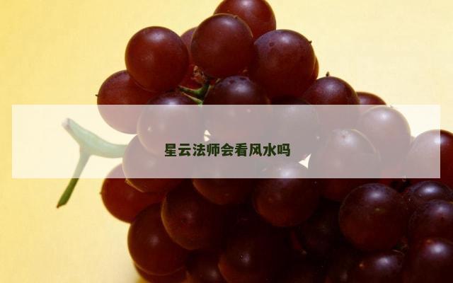 星云法师会看风水吗