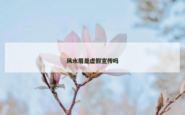 风水眉是虚假宣传吗