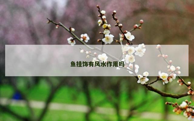 鱼挂饰有风水作用吗