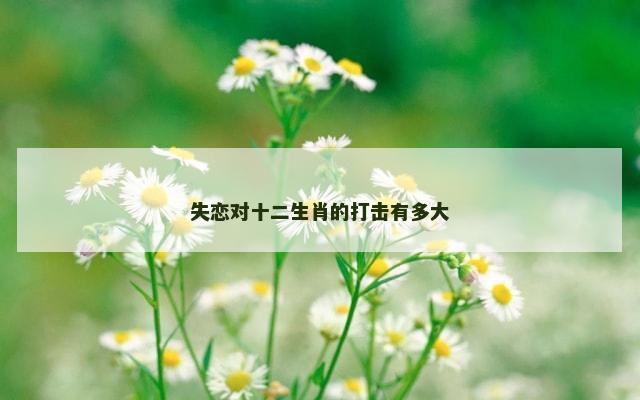 失恋对十二生肖的打击有多大