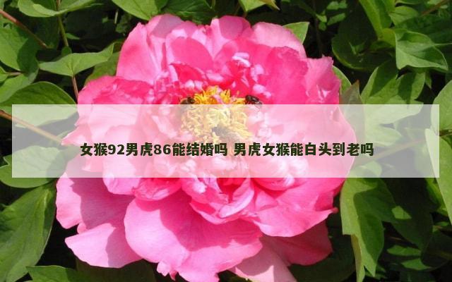 女猴92男虎86能结婚吗 男虎女猴能白头到老吗