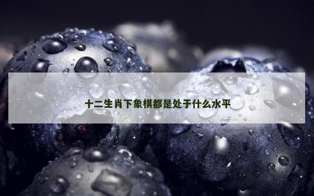 十二生肖下象棋都是处于什么水平