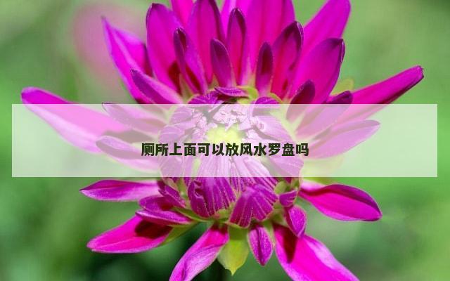 厕所上面可以放风水罗盘吗