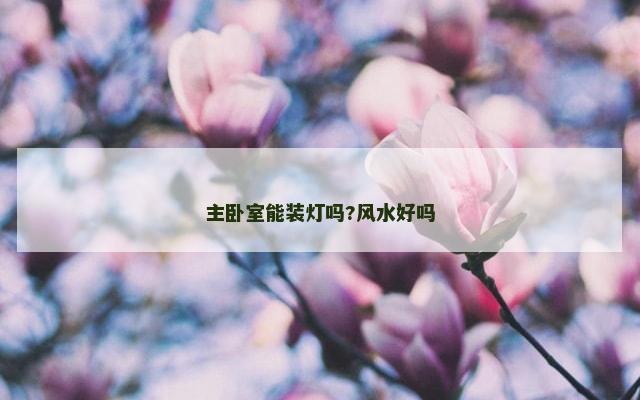 主卧室能装灯吗?风水好吗