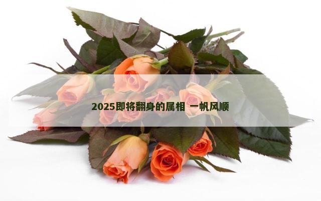 2025即将翻身的属相 一帆风顺