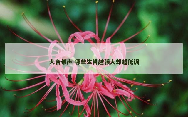 大音希声 哪些生肖越强大却越低调