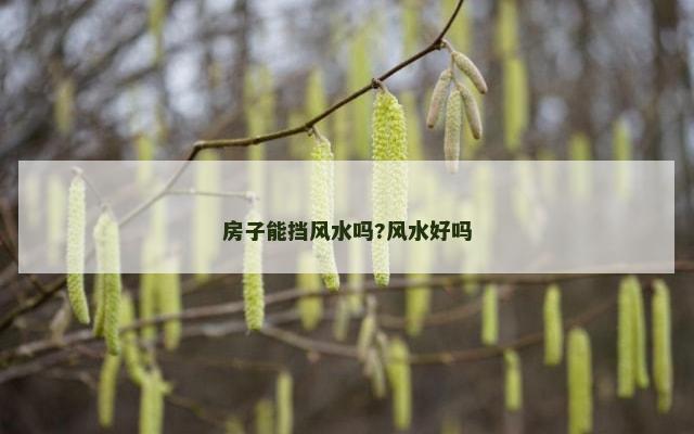 房子能挡风水吗?风水好吗