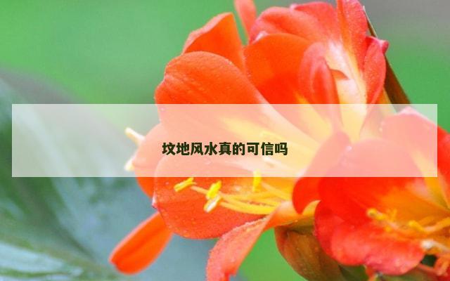 坟地风水真的可信吗