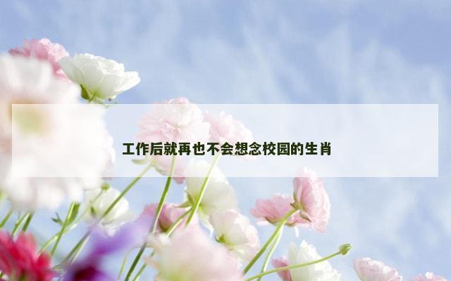 工作后就再也不会想念校园的生肖