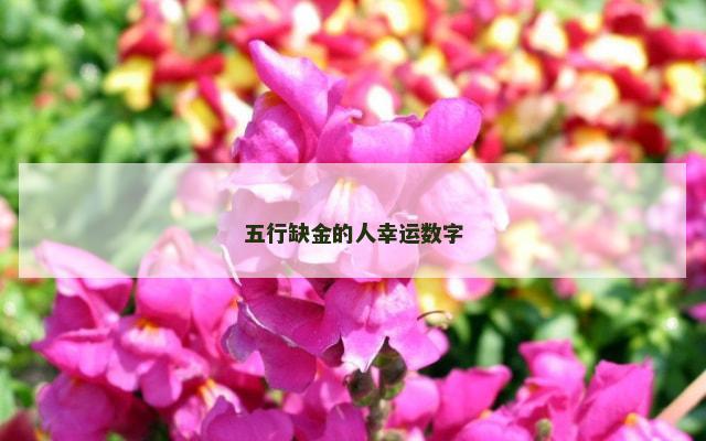 五行缺金的人幸运数字