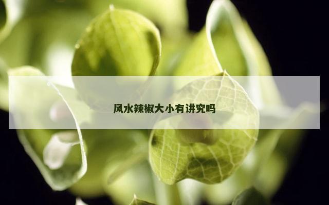 风水辣椒大小有讲究吗