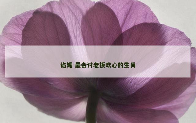 谄媚 最会讨老板欢心的生肖