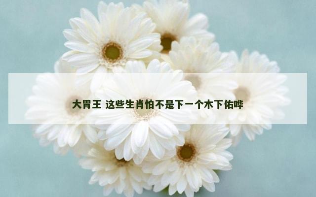 大胃王 这些生肖怕不是下一个木下佑哗