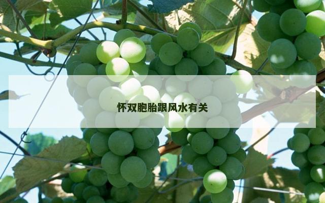 怀双胞胎跟风水有关