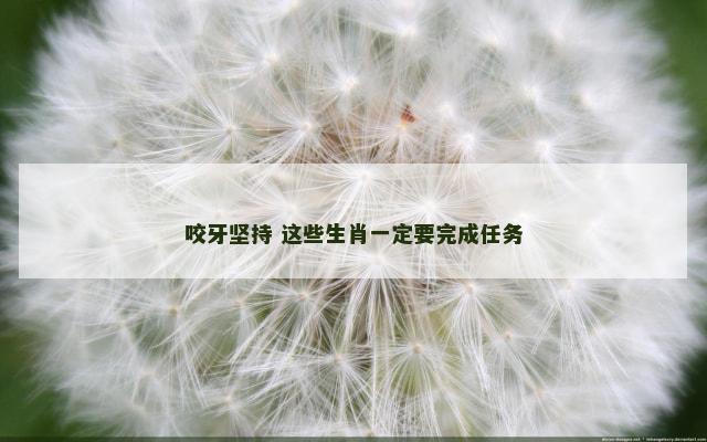 咬牙坚持 这些生肖一定要完成任务