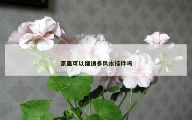 家里可以摆很多风水挂件吗