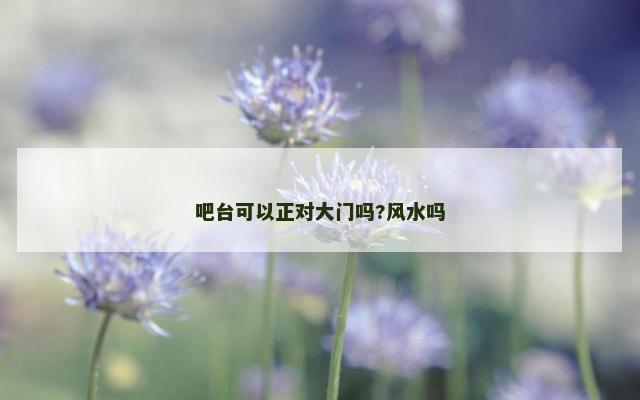 吧台可以正对大门吗?风水吗
