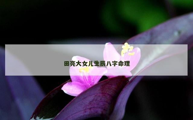 田亮大女儿生辰八字命理